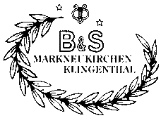 b&s logo